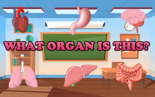 What Organ Is This?